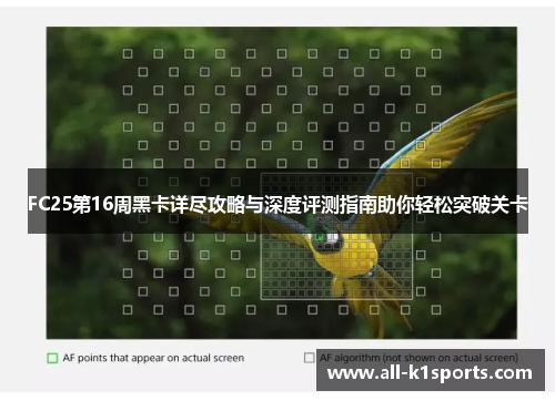 FC25第16周黑卡详尽攻略与深度评测指南助你轻松突破关卡