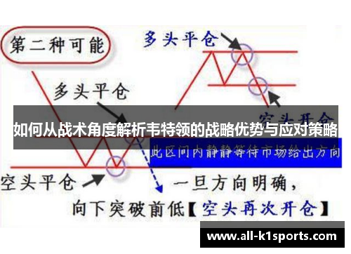 如何从战术角度解析韦特领的战略优势与应对策略