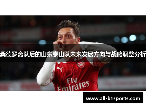 桑德罗离队后的山东泰山队未来发展方向与战略调整分析