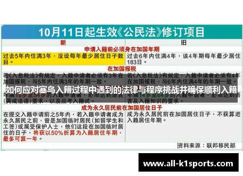 如何应对塞鸟入籍过程中遇到的法律与程序挑战并确保顺利入籍