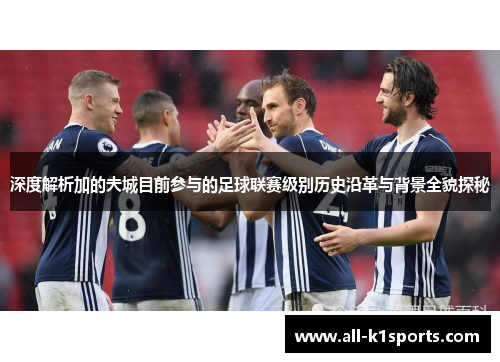 深度解析加的夫城目前参与的足球联赛级别历史沿革与背景全貌探秘